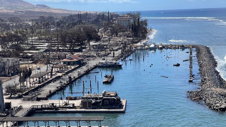 Lahaina Harbor after wildfires destroyed most of the boats moored there.